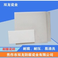 雙龍200*200*20 耐酸磚 瓷磚 廠家直供